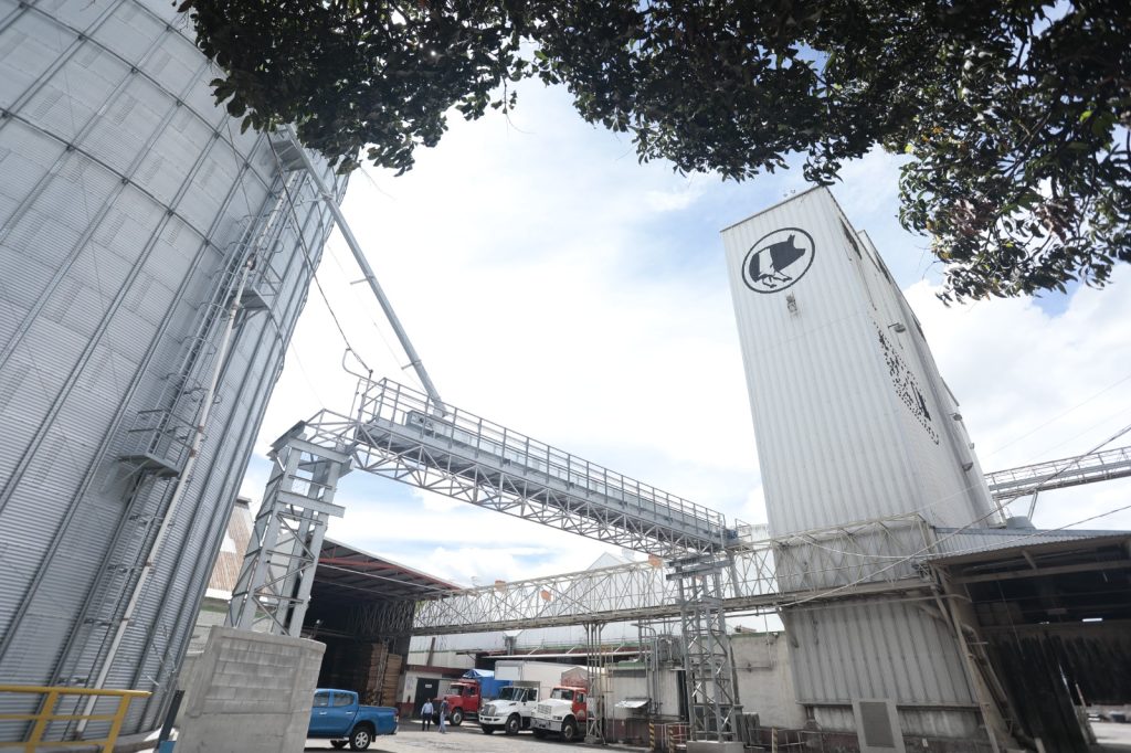 Planta UGRPG