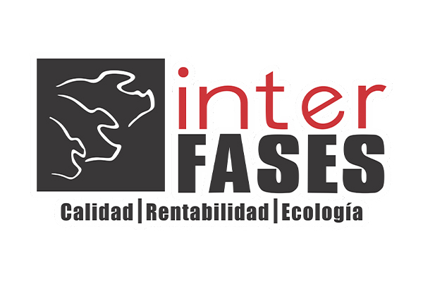 Interfases