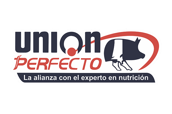 Union Perfecto