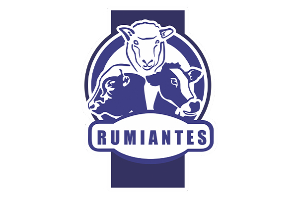Rumiantes